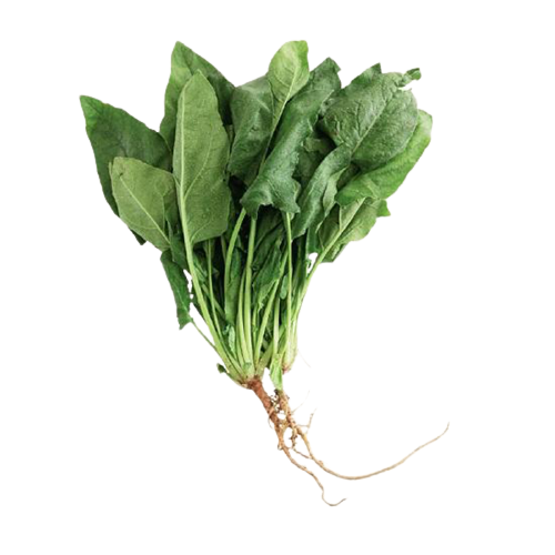 taiwan spinach