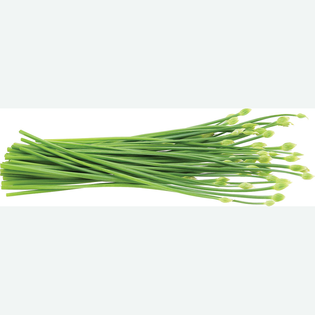 CHIVES BUD
