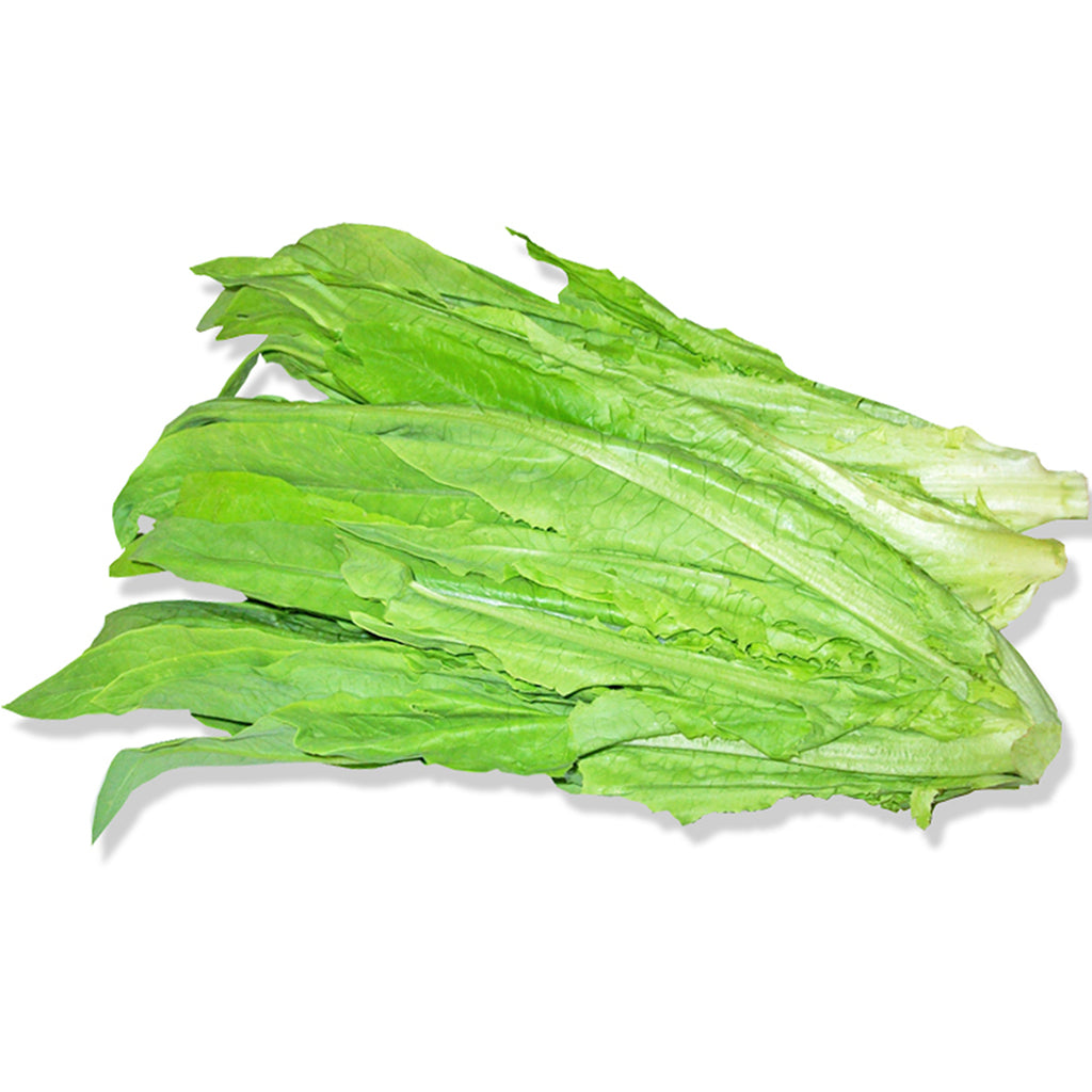 taiwan lettuce A choy