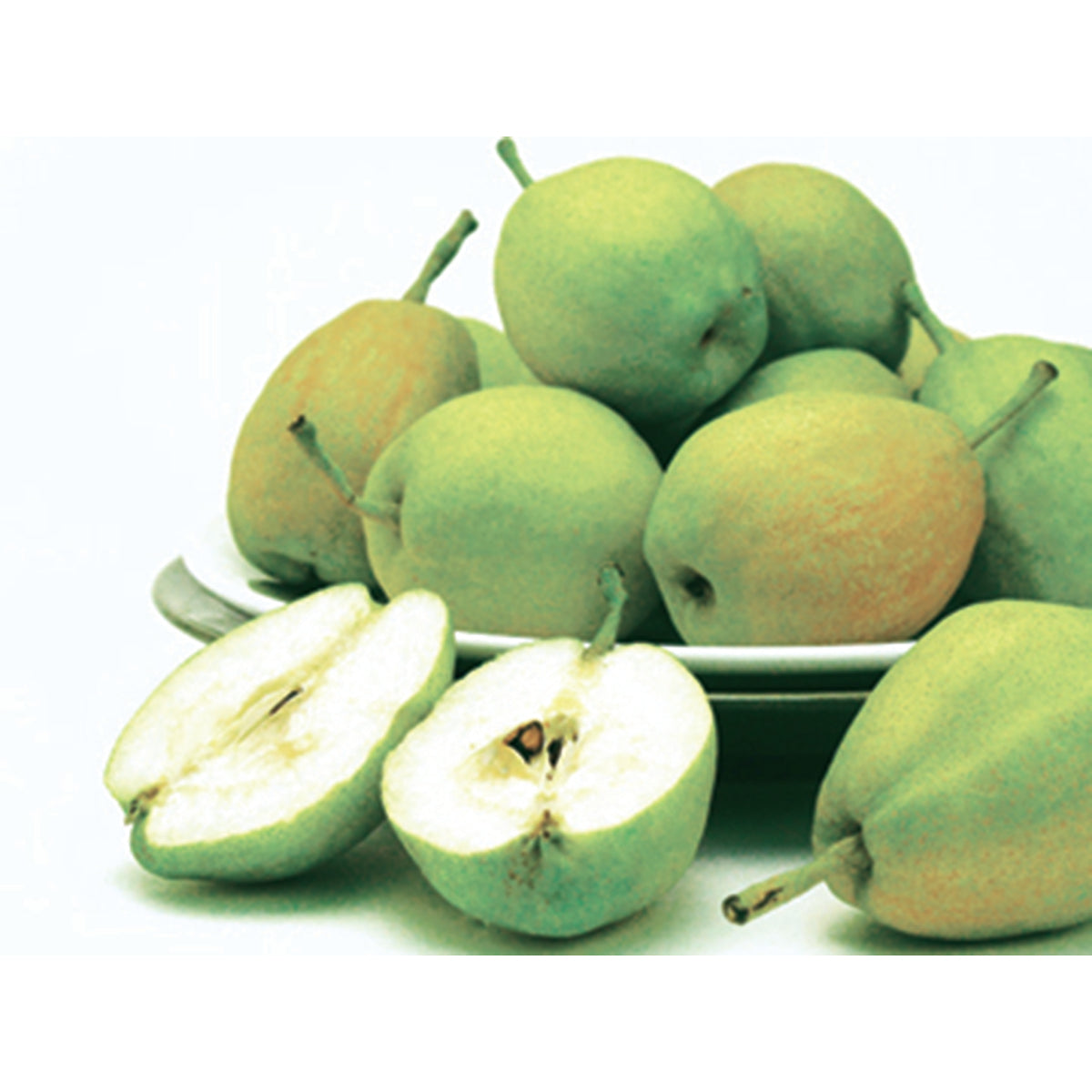 香梨 - 香梨 - Fragrant Pear 1.9-2.1 lb