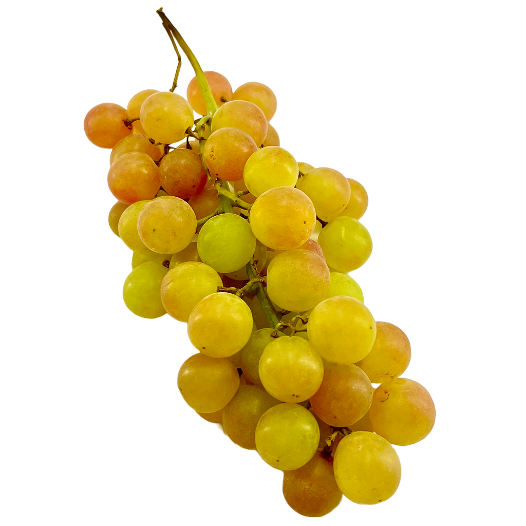 MUSCAT grape