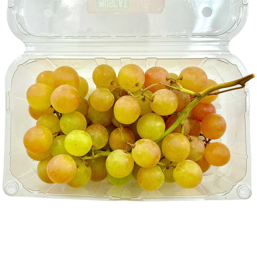 MUSCAT grape